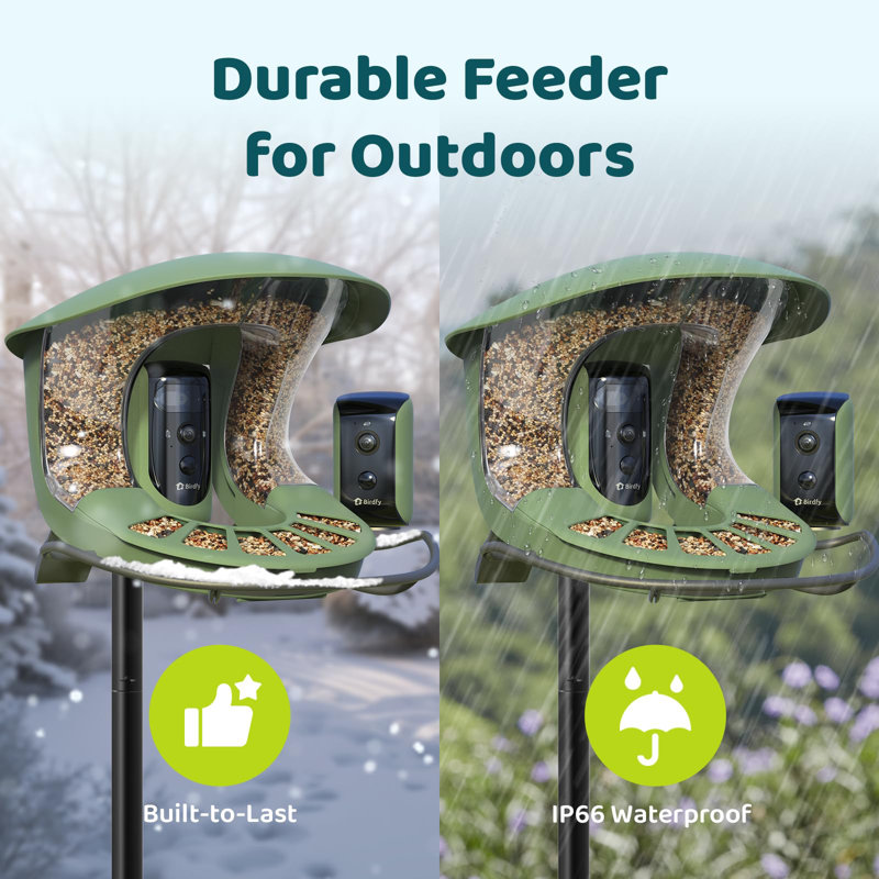 Birdfy 2 Smart Bird Feeder with Camera, Dual-Angle Views, 3 Lenses, AI Identifies 6000+ Birds, Wireless, Solar-Powered, Motion Detection, Gift Present