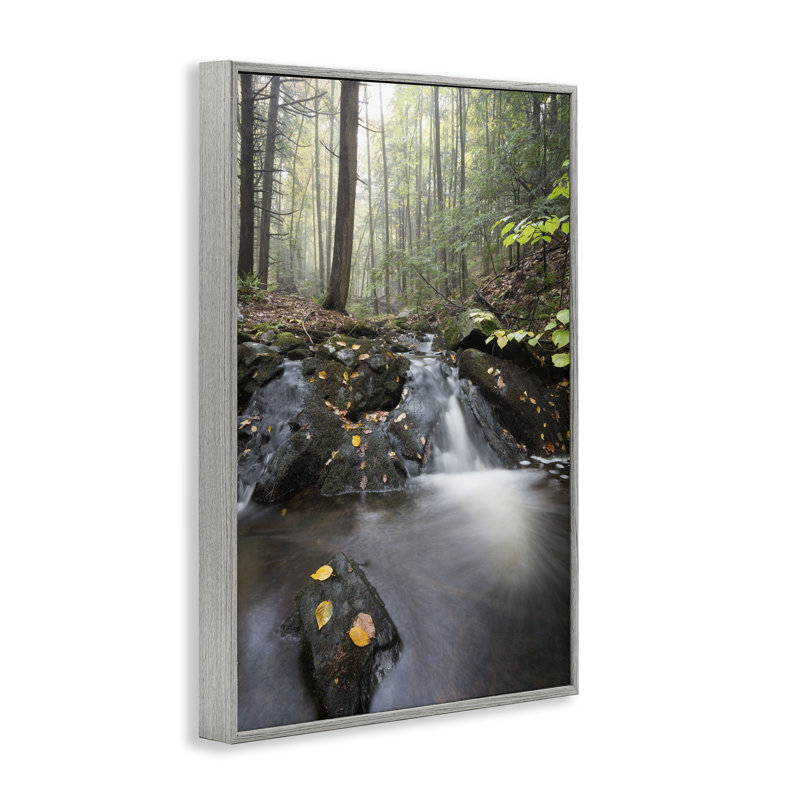 «Misty Stream Adirondacks», dessin de James Rodewald, Estampe numérique Farmhouse, H 18 po x l 12 po