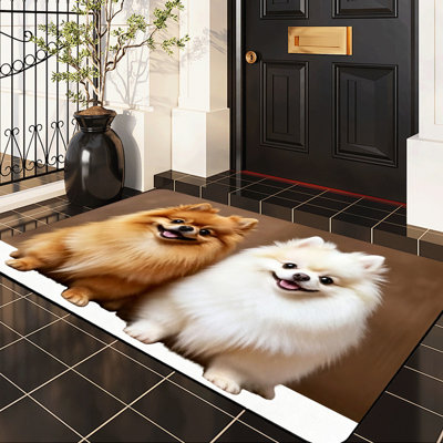 Tapis pour porte d'extérieur antidérapant JYK, 24 po x 36 po, entrée pour chiots