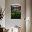 Iris jaunes des Appalaches Alvord-117579649