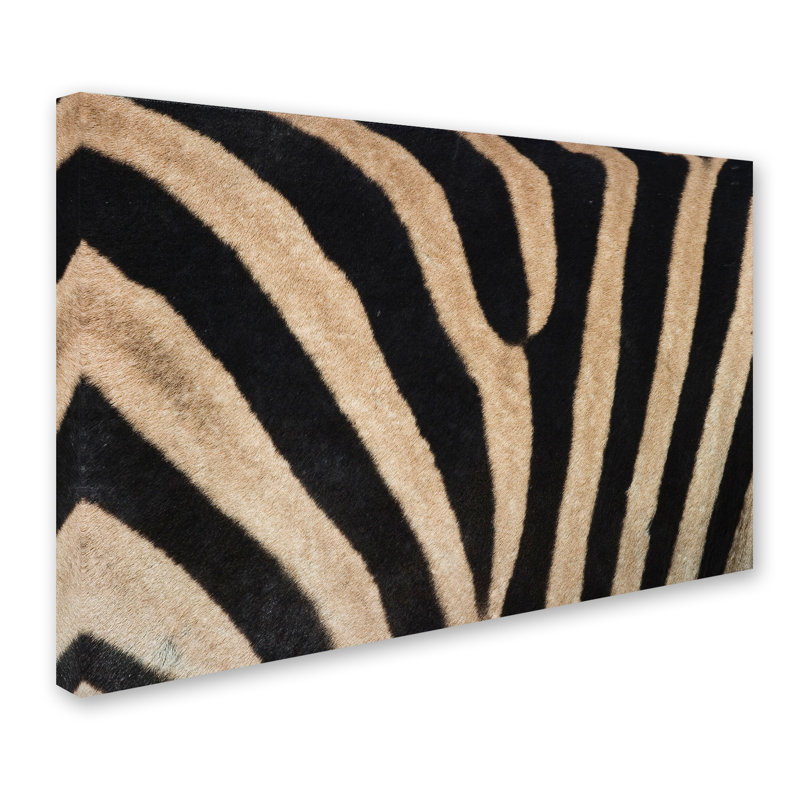 Art mural sur toile tendue - Bibliothèque murale «Zebra Skin» par Robert Harding pour décor de salon, de chambre à coucher ou de bureau - 22 x 32