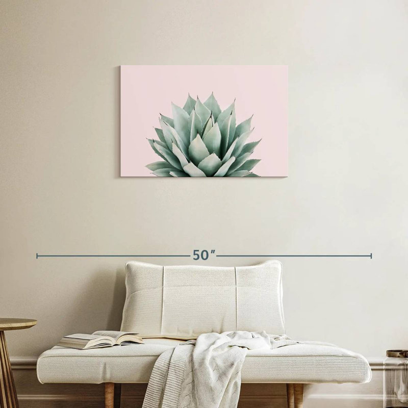 Agave Harnek Blush, H 20 po x l 30 po