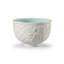 Seasons of the Year Fall Teacup
