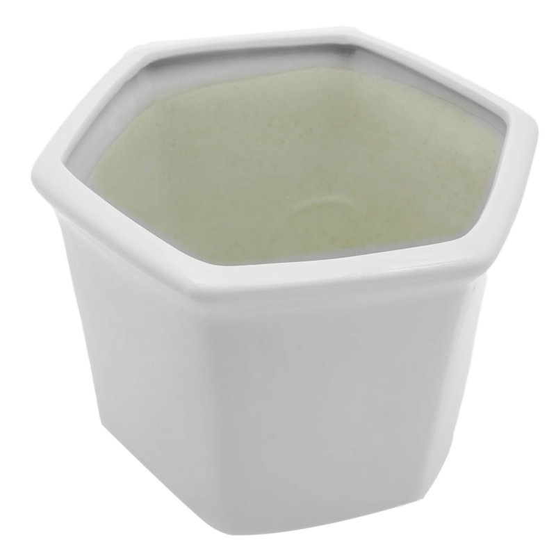 Chinese Porcelain Pot Planter, White