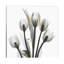 « doréy tulipes i » par albert koetsier,-print-49703852-49703853