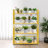 31.5X9.8” 4-Tier Book Storage Rack-175713037