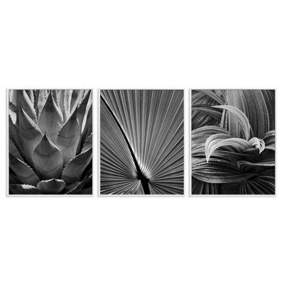  «Palm Frond», ensemble de 3 giclées d'art par Chip Forelli