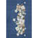 Premium Machine Washable Castillon AMF1825 Stars and Presents Holiday Rug