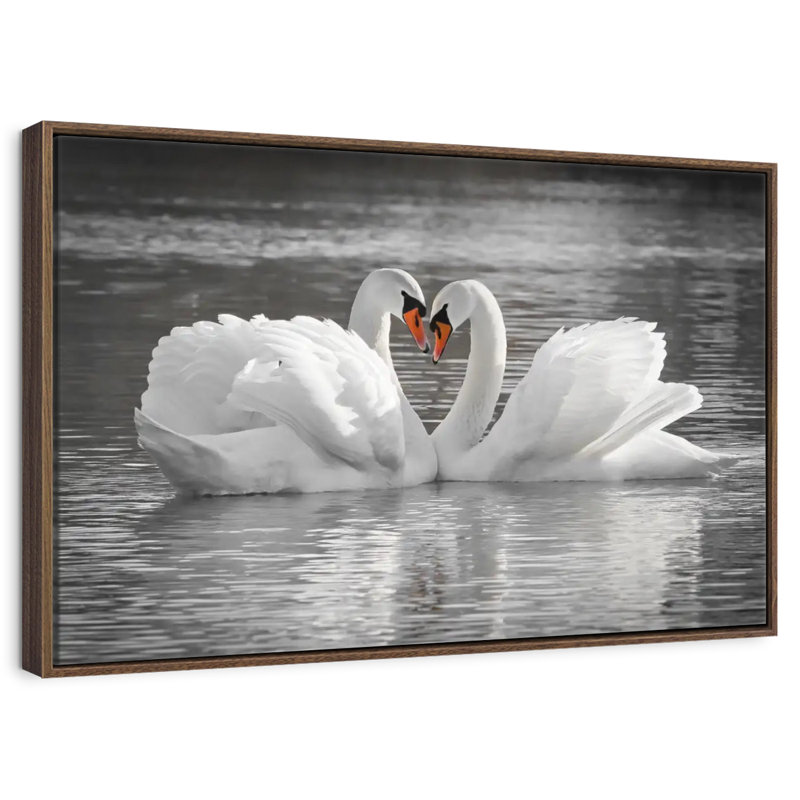 Couple de cygnes amoureux, 13 po x 9 po, Cadre flottant en noyer