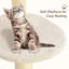 Arbre à chat 39 po pour chats d'intérieur, poteaux à griffer en sisal naturel, condo tissé à la main et perchoir supérieur 39 po Ashawni-622177068