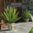 Diandrea Handmade Ceramic Pot Planter-289754462