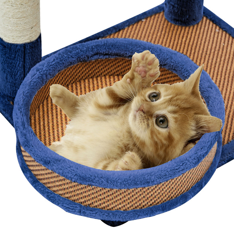 122cm H Cat Tree, Blue