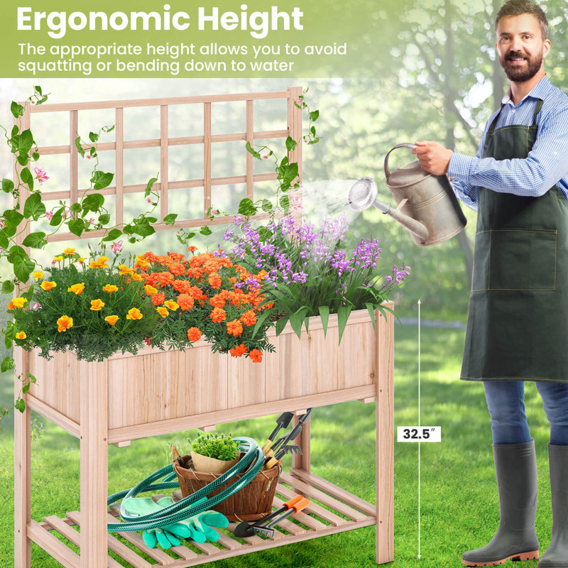 Jovonne Wood Raised Garden Bed with Trellis
