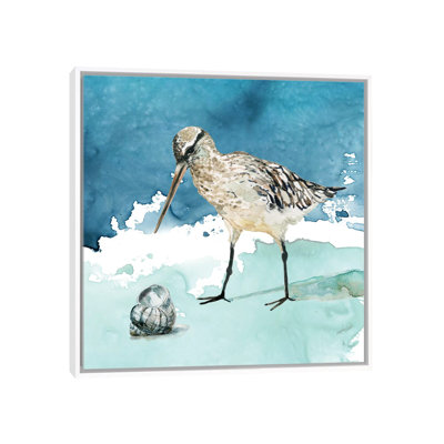 " Delray Sandpiper II " by Carol Robinson