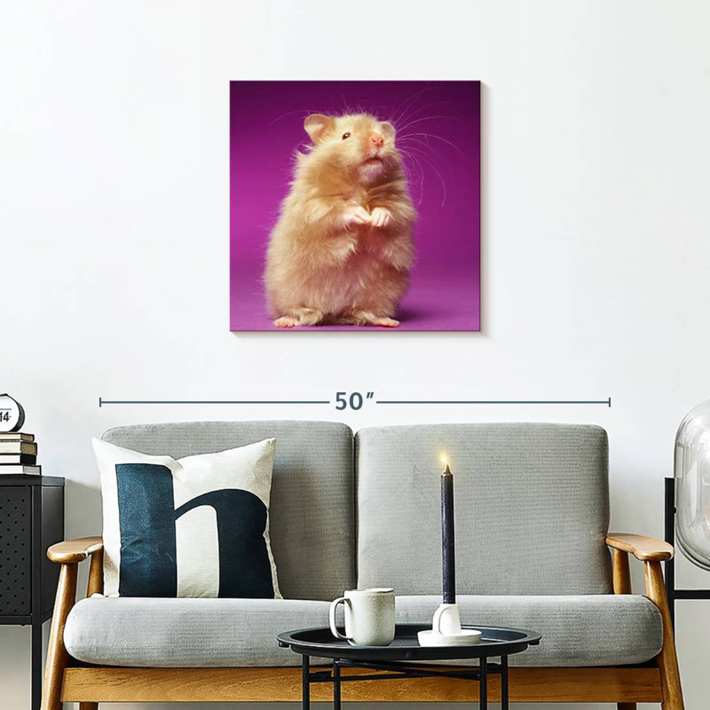 Ketti Fluffy Hamster, 24" H x 24" W