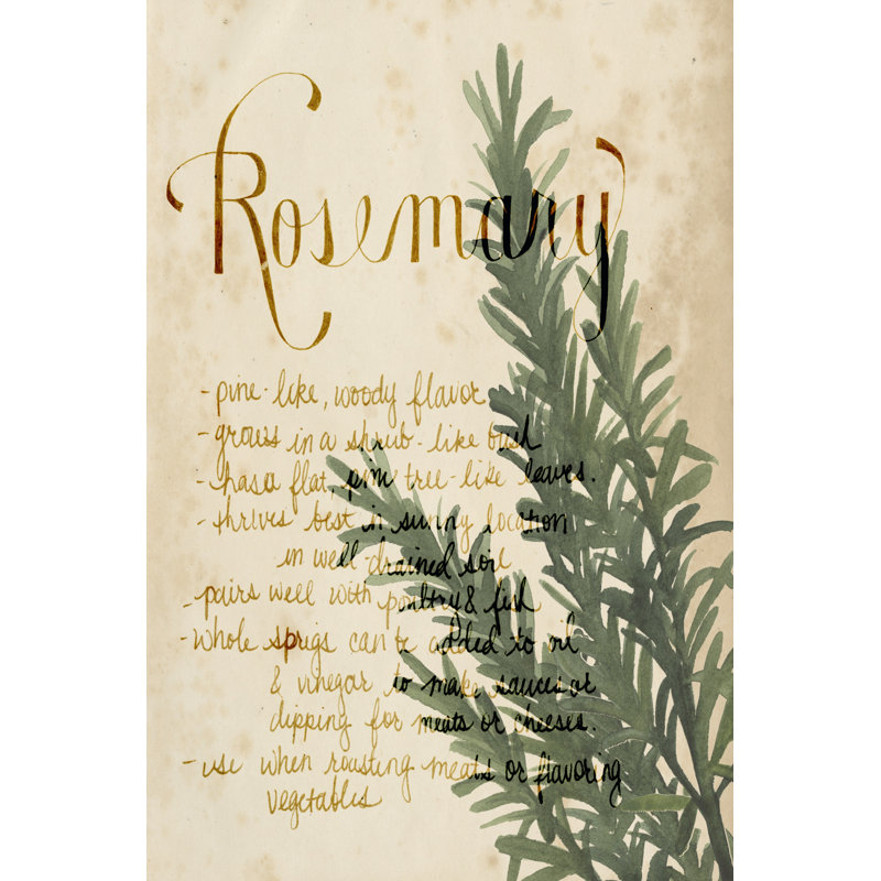 Herb Study IV by Grace Popp - Wrapped Canvas Print, 91cm H x 61cm W