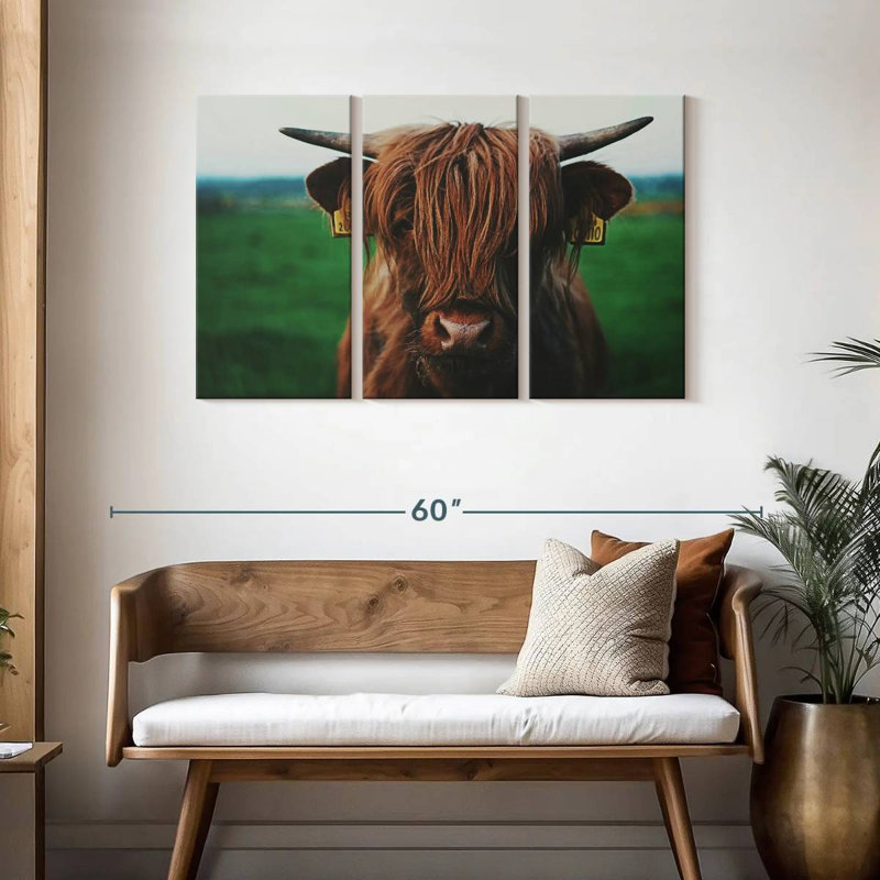 Gros plan d'une vache Highland, H 28 po x l 45 po