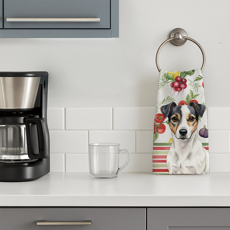 Torchon blanc et noir Jack Russell Terrier, White/Black Jack Russell Terrier