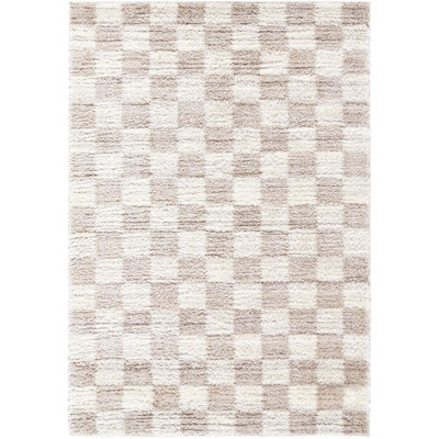 Aarno Modern Machine Woven Area Rug