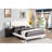 Queen Bed - All In One Box