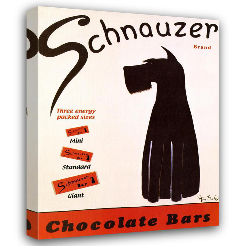 Schnauzer, H 18 po x l 14 po