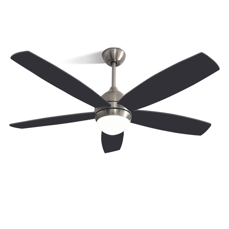 Ceaira 52'' Ceiling Fan with LED Lights