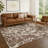 Machine Washable Indoor/Outdoor Chantille ACN2597 Abstract Rug-1539662014-1539662002