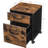 Mobile File Cabinet With 2 Drawers And Wheels, Printer Stand For Home Office, Organizer For A4 And Letter Sized Documents, Hanging File Folders
