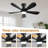 42 Inch RGB Ceiling Fans With Led Light and Remote/App Control, Flush Mount, RGB Dimmable Light, Modern Black Ceiling Fan for Kids Bedroom, Indoor/Covered Outdoor Use-117579839-117579838