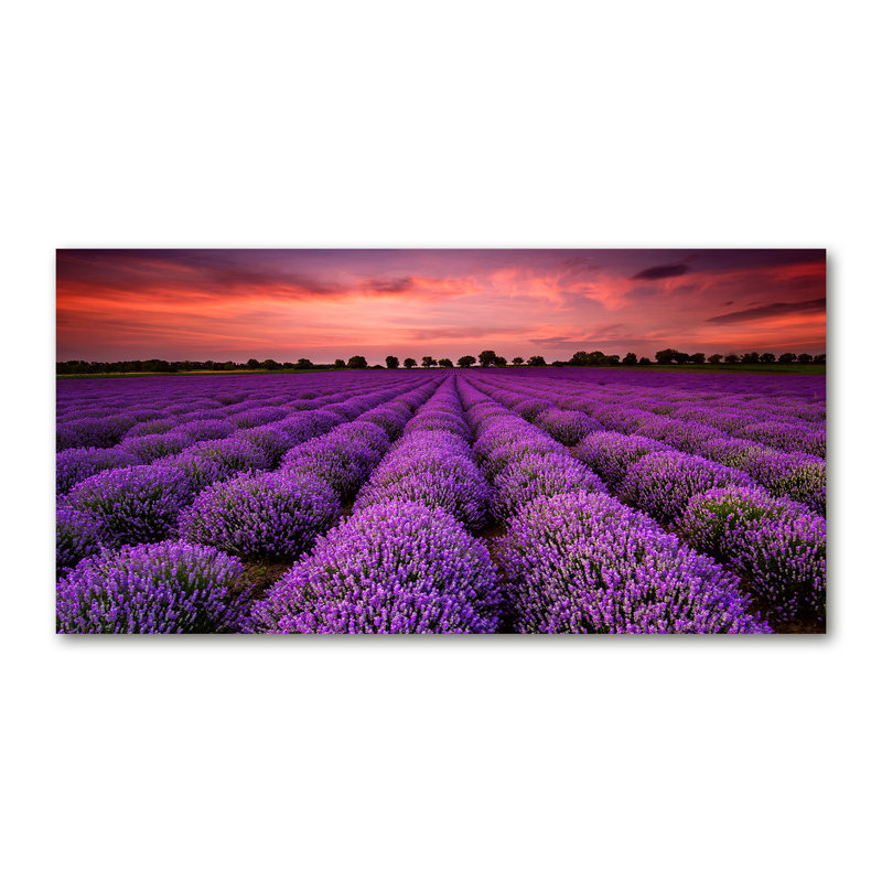 Lavender Field - Wrapped Canvas Print