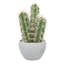 Cactus artificiel 10,5 po en pot