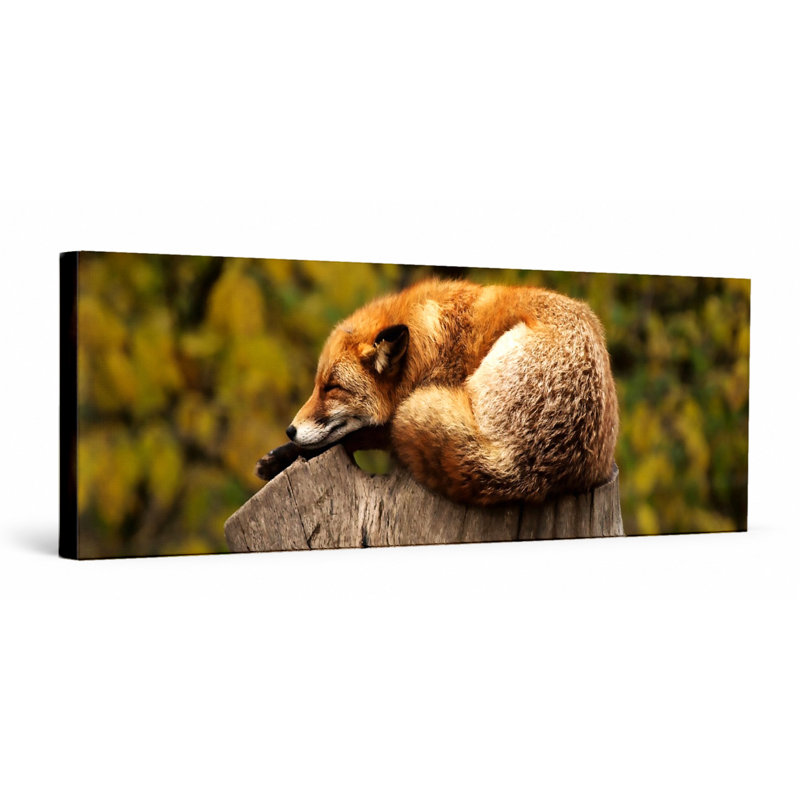 «Sleeping Fox on Tree Stump», art mural sur toile panoramique, 48" W x 16" H