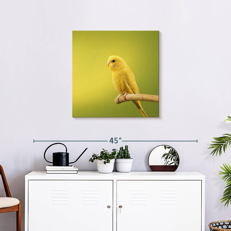 Perruche jaune perchée Brampt, H 24 po x l 24 po