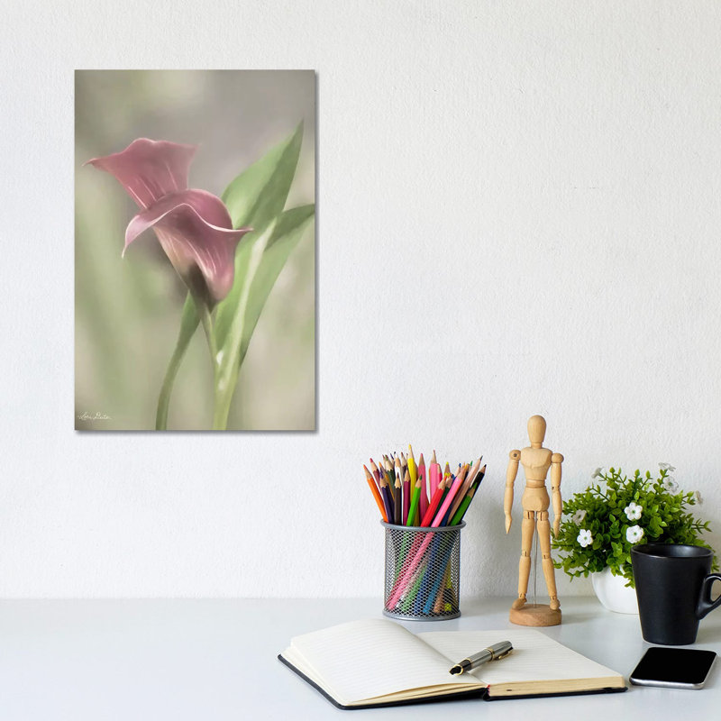 Pink Calla Lily by Lori Deiter - Wrapped Canvas Print, 20.32 cm H x 30.48 cm W