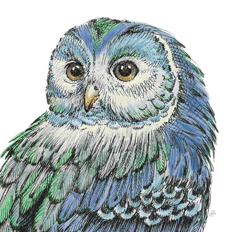 Beautiful Owls I Peacock, H 12 po x l 12 po