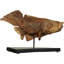 Figurine de poisson