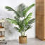 Palmier artificiel Adcock en pot noir, plante de palmier Areca vert résistant aux rayons UV pour la décoration intérieure et extérieure-847091399