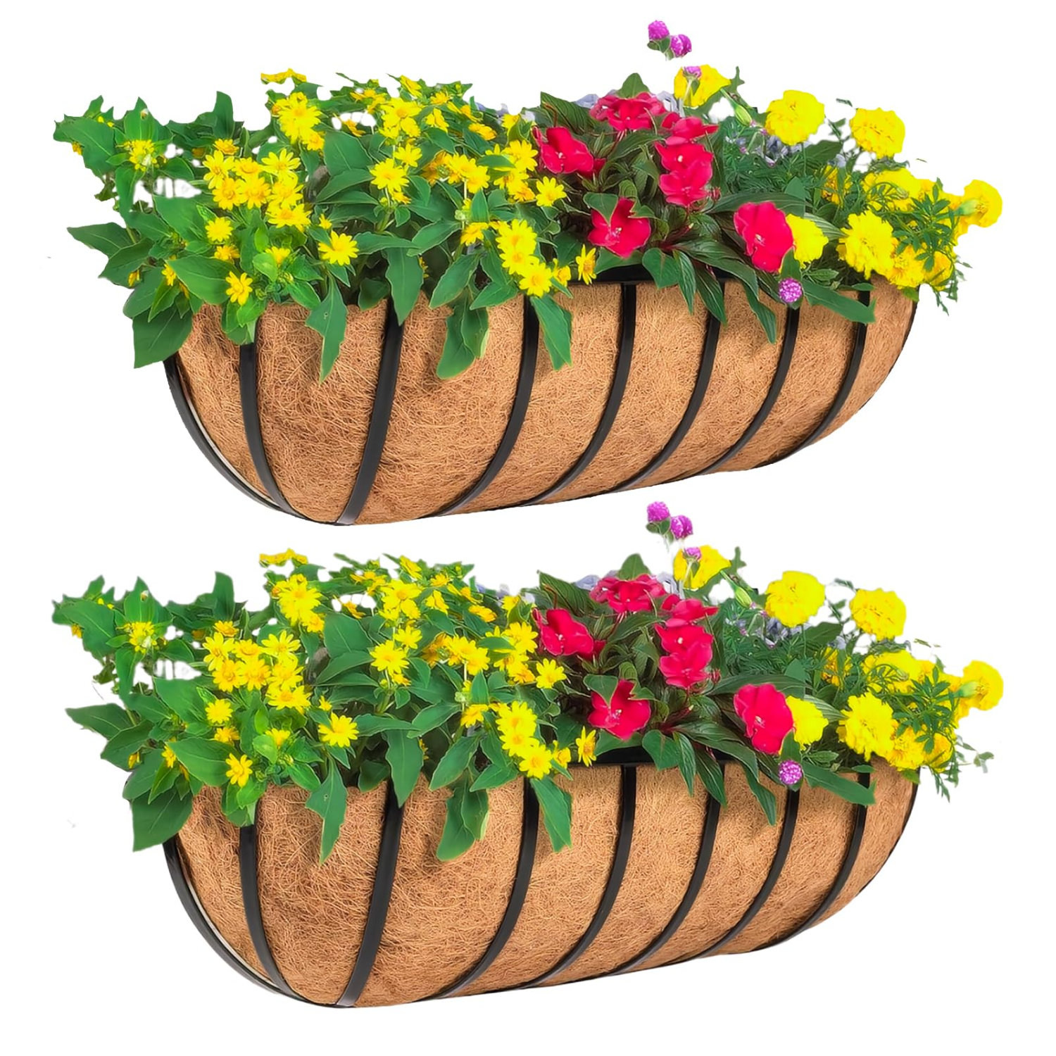 Dakota Fields 2Pcs Window Deck With Coco Liner, Window Boxes Horse ...