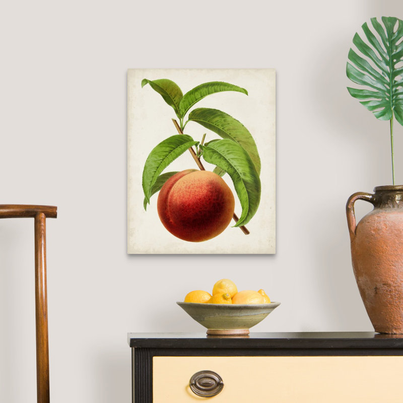 Antique Fruit V - reproduction d'art sur toile, Toile tendue, H 20 po x l 16 po x P 1,25 po