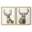 Impression encadrée Handsome Whitetail I-Premium - prête à être accrochée - aucun clou requis - aucun clou requis-137286774-137286773
