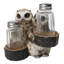 Owl Lovers Couple Salt and Pepper Shaker Holder with Glass Shakers Figurine