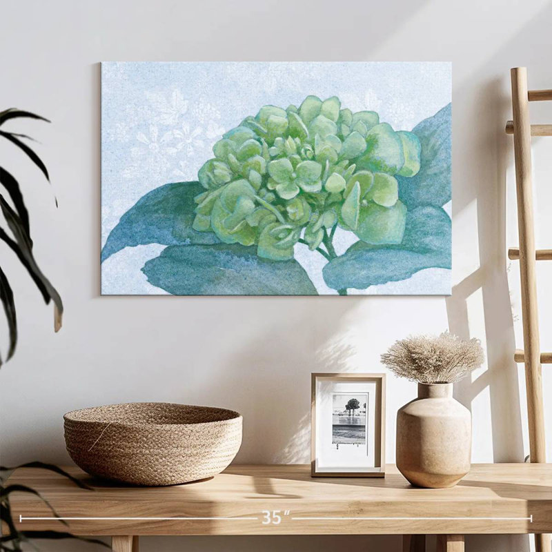 Hortensia bleu Harnek I