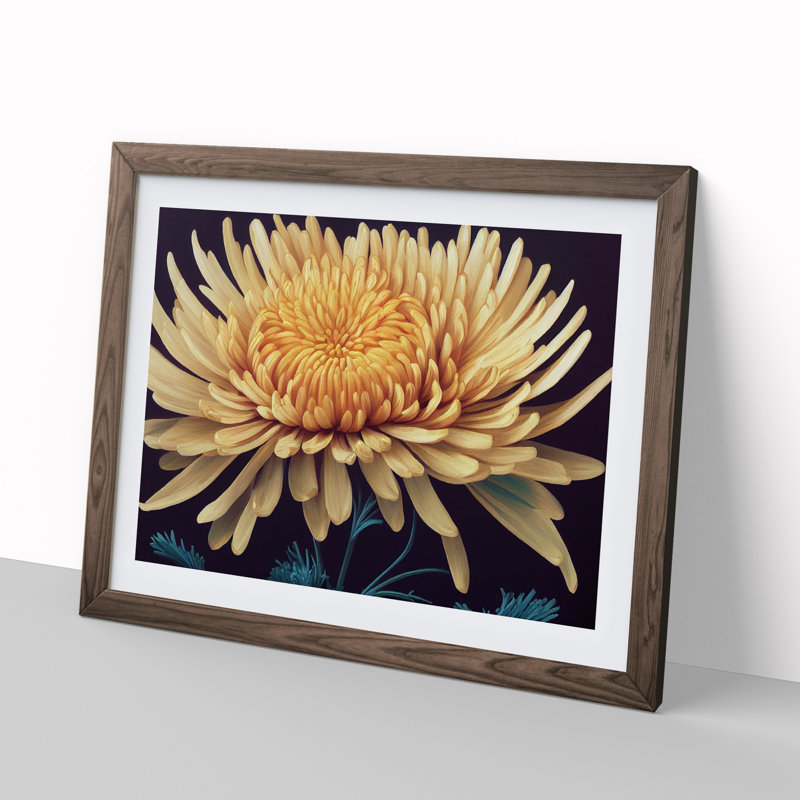 Charming Chrysanthemum Flower - Framed Print, 34cm H x 46cm W x 2cm D, Walnut