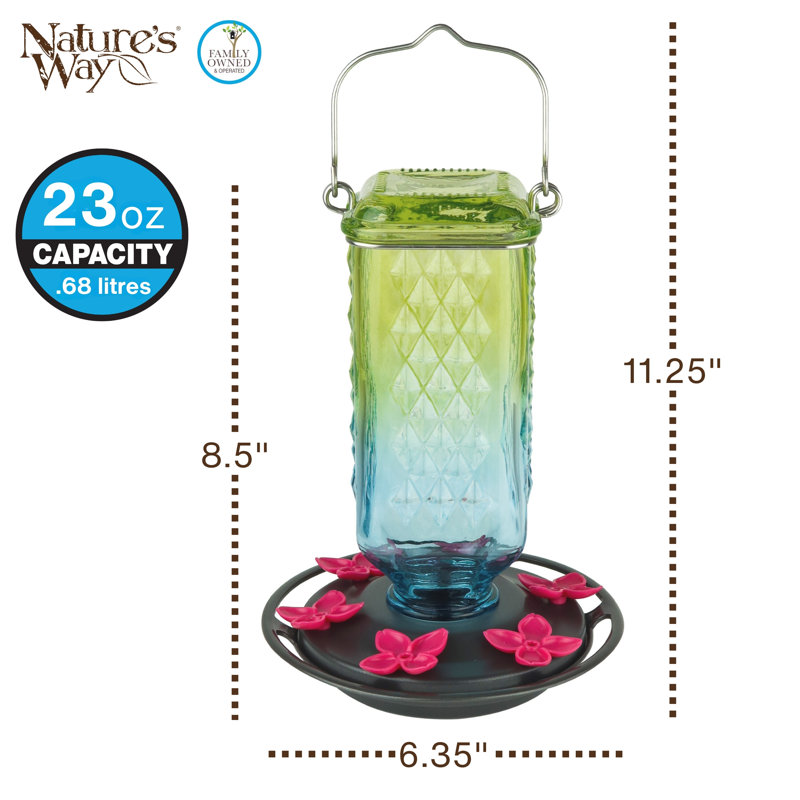 Colonne en verre antique colibri mangeoire ombre