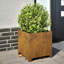Alhasan Metal Elevated Planter-1275765388-1275765393