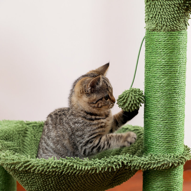 Arbre à chat Cactus