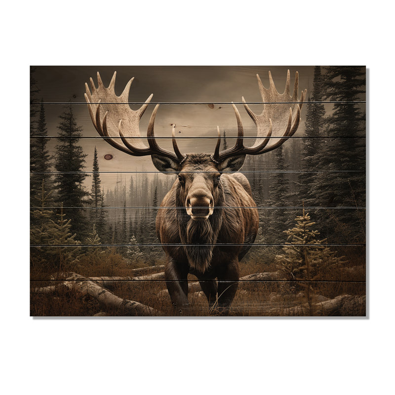 «Brown Moose Majestic», reproduction sur bois, H 10 po x l 20 po x P 0,78 po