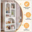 Bibliothèque géométrique arquée à 5 tablettes pour salon, bureau, chambre à coucher