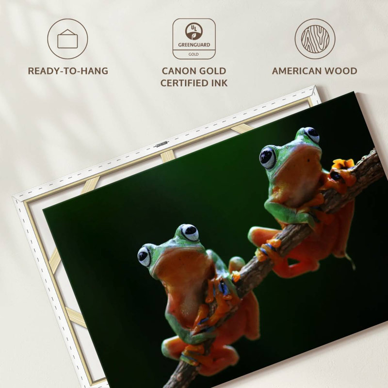 Two Wallace's Flying Frogs, 8" H x 12" W