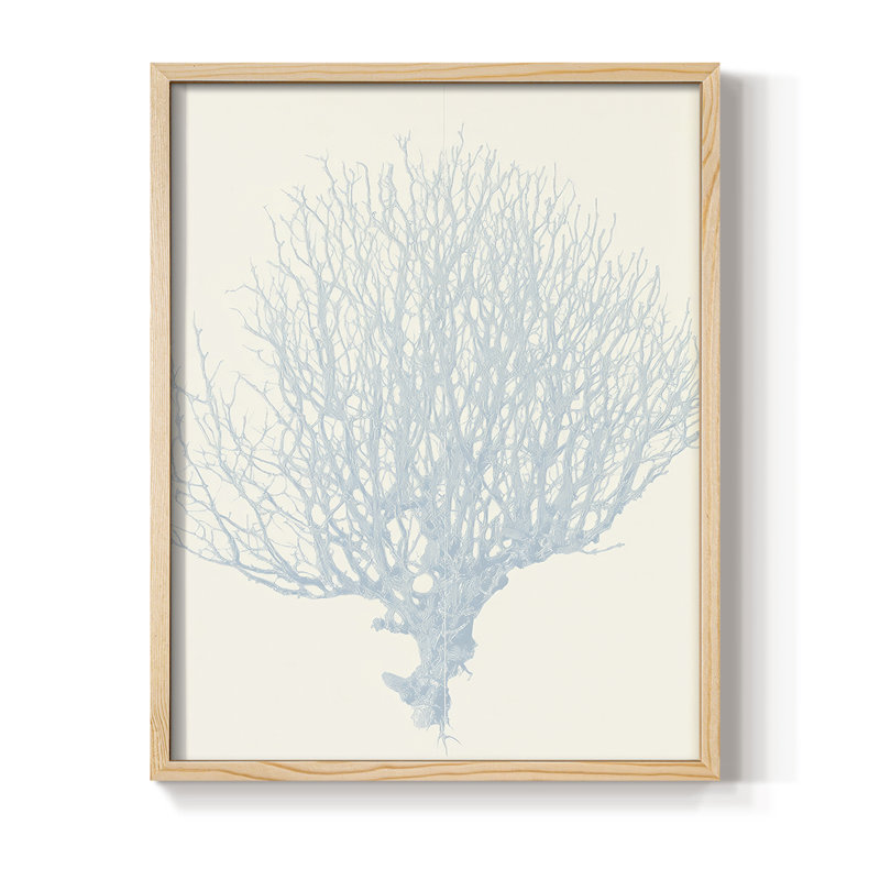 NAUTICAL Series XIII, reproduction encadrée - bois massif, Naturel, H 11 po x l 9 po